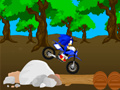 Jogo Cross Sonic Race 