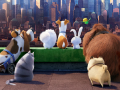 Jogo The Secret Life Of Pets Find Objects