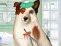 Jogo Doctor For Dog With a Blog