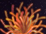 Jogo Fireworks