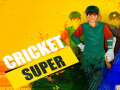 Jogo Super Cricket      