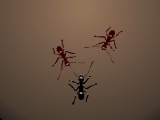 Jogo Ants Arena