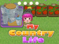 Jogo My County Life