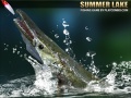 Jogo Summer Lake