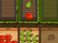 Jogo Fruit Gardener