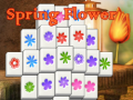 Jogo Spring Flower