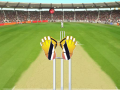 Jogo Cricket Wicket