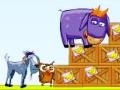Jogo Donkey Sean