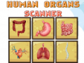 Jogo Human Organs Scanner