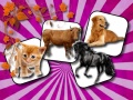 Jogo Domestic Animal Memory Challenge
