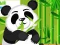 Jogo Panda Care