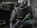 Jogo Flashpoint