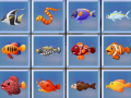 Jogo Find The Fish