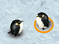 Jogo Save the egg