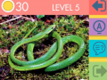 Jogo 15 Picture Quiz