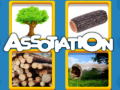 Jogo Assotiation 