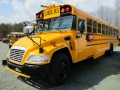 Jogo School Buses Puzzle