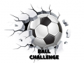 Jogo Ball Challenge