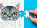 Jogo Abyssinian Puzzle Challenge