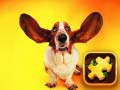 Jogo Funny Dogs Puzzle