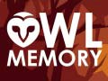 Jogo Owl Memory