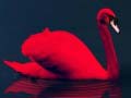 Jogo Love Birds Puzzle