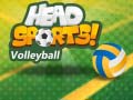 Jogo Head Sports Volleyball