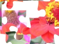 Jogo Flowers 2