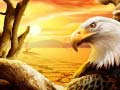 Jogo Eagle