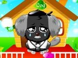 Jogo Cute Pet Dog