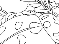 Jogo Garden beetle
