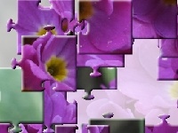 Jogo Bouqet for bride