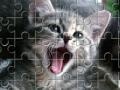 Jogo Cat jeancliclac