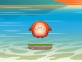 Jogo Choly Waterhop