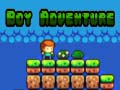 Jogo Boy Adventure