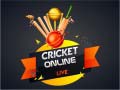 Jogo Cricket Online