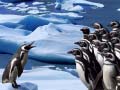 Jogo Penguins Slide