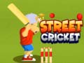 Jogo Street Cricket