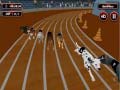 Jogo Crazyl Dog Racing Fever