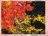 Jogo Choose a puzzle 3