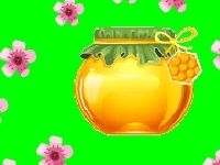 Jogo Gather the flowers