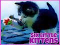Jogo Six Little Kittens
