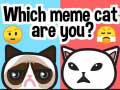 Jogo Which Meme Cat Are You?