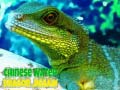 Jogo Chinese Water Dragon Jigsaw