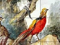 Jogo Birds in the wood