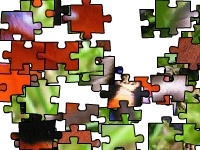 Jogo Flapping butterfly