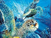 Jogo Tutrtles in the ocean