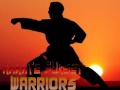 Jogo Karate Sunset Warriors