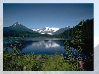 Jogo Choose a puzzle 7