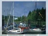 Jogo Choose a puzzle 9